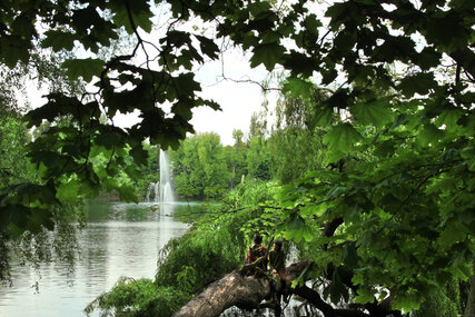Weißer See Weißer See